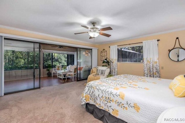 carpeted bedroom featuring crown molding, ceiling fan, and access to exterior