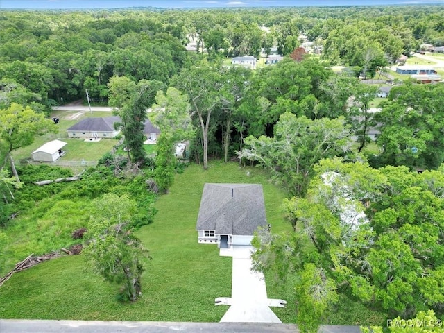 3696 SW 139th Ln, Belleview, FL 34491 - photo 6
