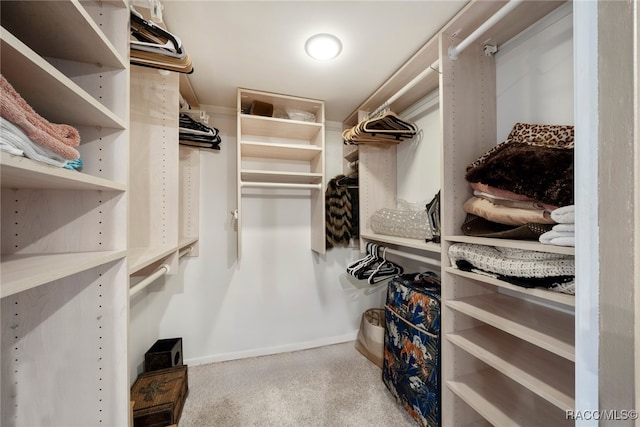 view of walk in closet