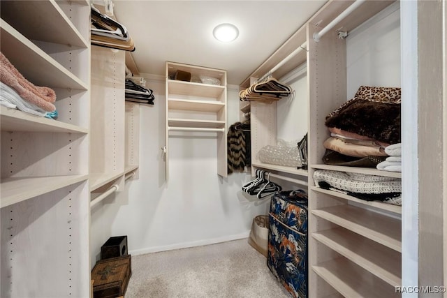 9950 S Ocean Dr Unit 302, Jensen Beach, FL 34957 - spacious closet with carpet