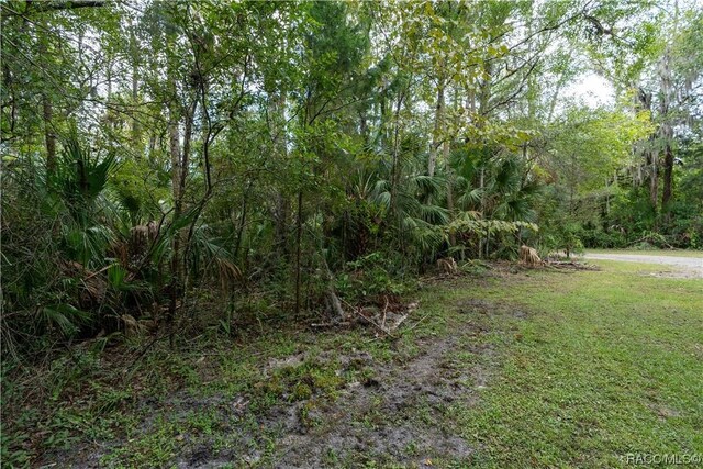 9955 W Fort Island Trl, Crystal River, FL 34429 - photo 7