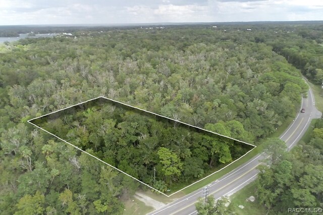 9955 W Fort Island Trl, Crystal River, FL 34429 - photo 2