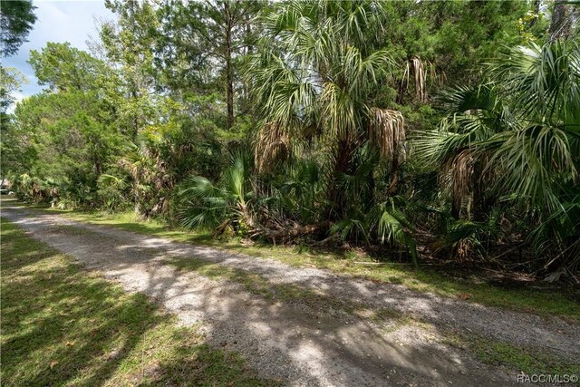 9955 W Fort Island Trl, Crystal River, FL 34429 - photo 5