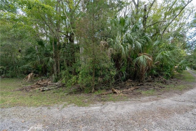 9955 W Fort Island Trl, Crystal River, FL 34429 - photo 6