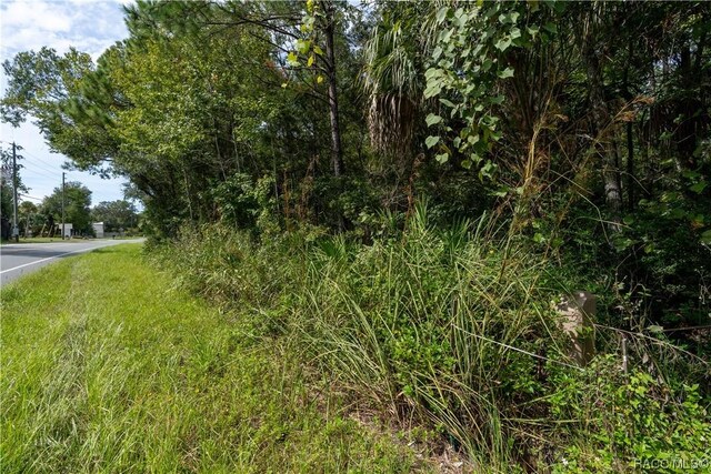9955 W Fort Island Trl, Crystal River, FL 34429 - photo 10