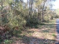 0000 SW Monaco Ct, Dunnellon FL, 34431 land for sale