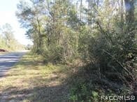 Listing photo 3 for 0000 SW Monaco Ct, Dunnellon FL 34431