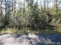 Listing photo 2 for 0000 SW Monaco Ct, Dunnellon FL 34431