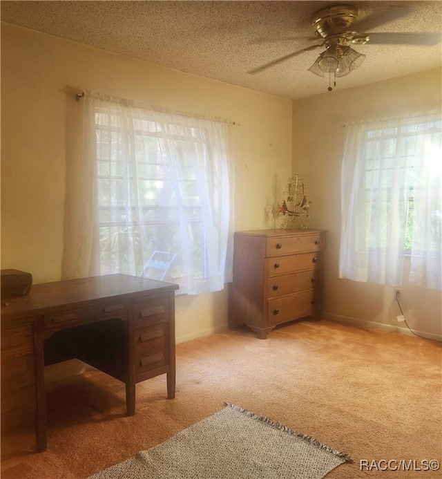 home office with carpet flooring, ceiling fan, and a textured ceiling