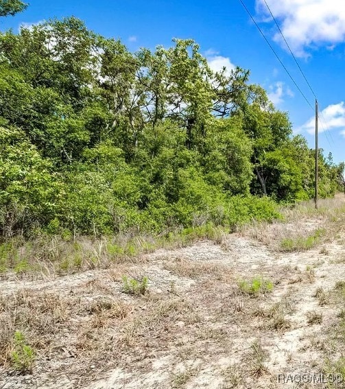 TBD SW Pineapple Hill Dr, Dunnellon, FL 34431