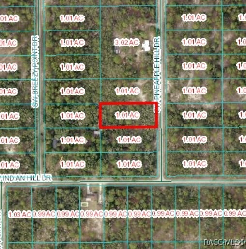 TBD SW Pineapple Hill Dr, Dunnellon, FL 34431