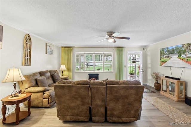 3550 S Dean Ter, Inverness, FL 34452 - living area featuring ceiling fan, light wood-type flooring, a textured ceiling, crown molding, and a lit fireplace