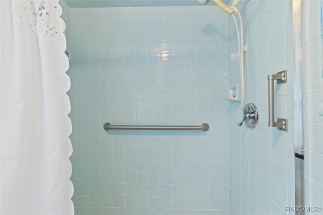 3550 S Dean Ter, Inverness, FL 34452 - full bath featuring tiled shower