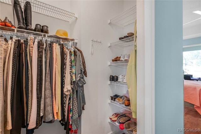 view of walk in closet