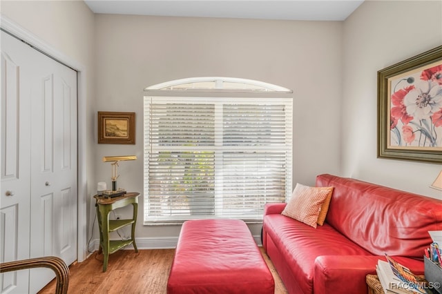 living room with light hardwood / wood-style flooring