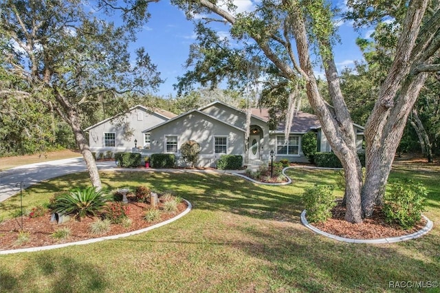 view of front of home featuring a front yard, driveway, and stucco siding