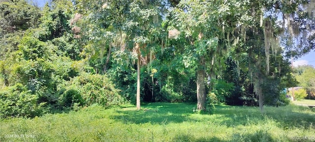 1980 S Tsala Ter, Inverness, FL 34450