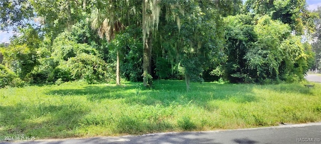 1980 S Tsala Ter, Inverness, FL 34450