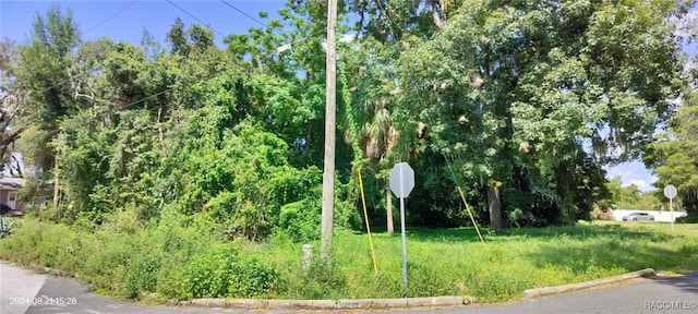 1980 S Tsala Ter, Inverness, FL 34450