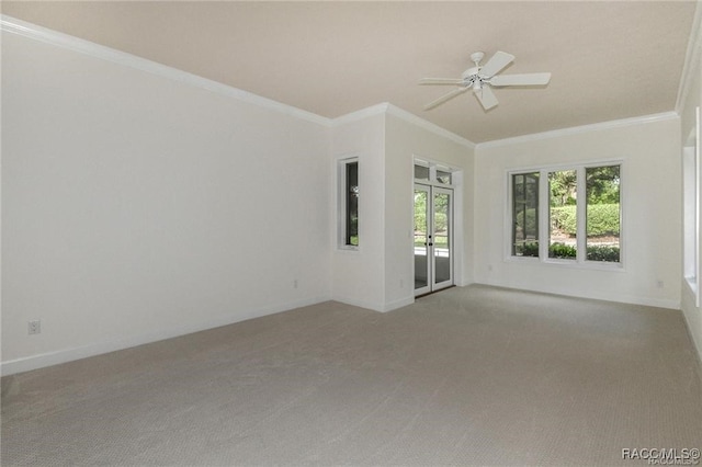 spare room with light colored carpet and crown molding