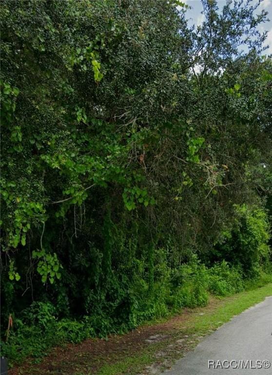 Listing photo 3 for LOT30 Jerome Dr, New Port Richey FL 34654