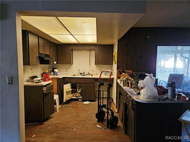 kitchen featuring dark brown cabinetry, wooden walls, dark wood-type flooring, and sink