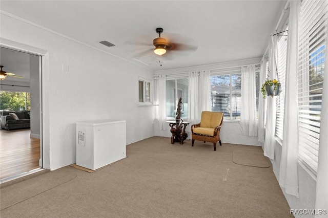 sitting room featuring carpet, crown molding, visible vents, and a ceiling fan