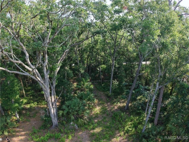 0 SE 144th Pl, Inglis, FL 34449