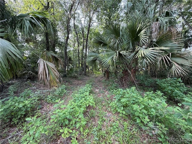0 SE 144th Pl, Inglis, FL 34449