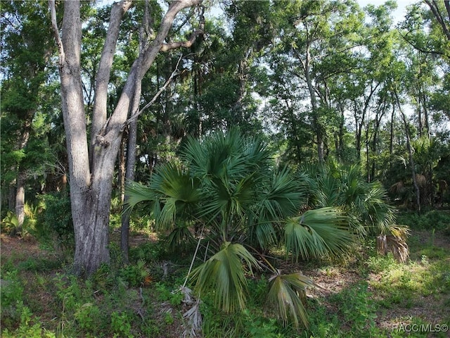 0 SE 144th Pl, Inglis, FL 34449
