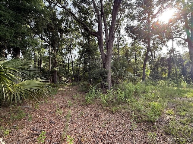 0 SE 144th Pl, Inglis, FL 34449