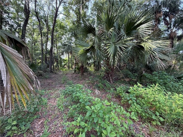 0 SE 144th Pl, Inglis, FL 34449