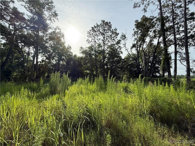 0 SE 144th Pl, Inglis, FL 34449