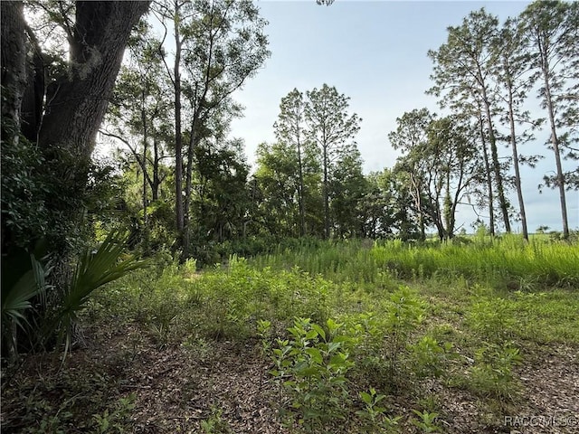 0 SE 144th Pl, Inglis, FL 34449