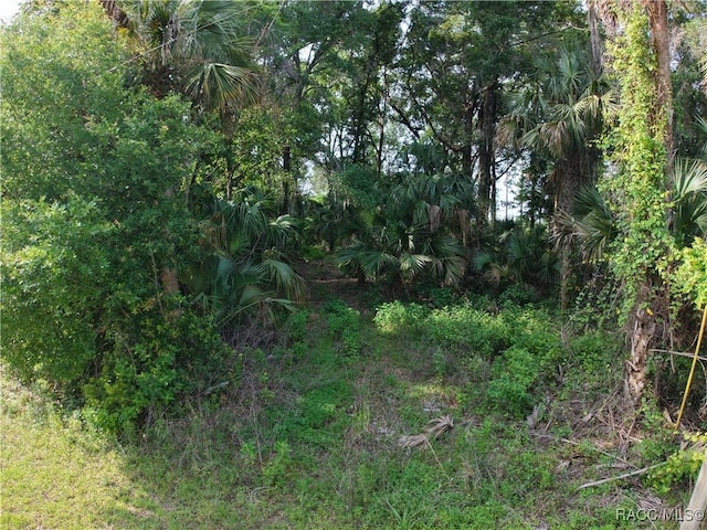 0 SE 144th Pl, Inglis, FL 34449