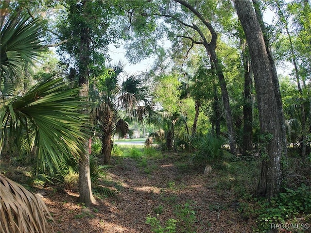 0 SE 144th Pl, Inglis, FL 34449