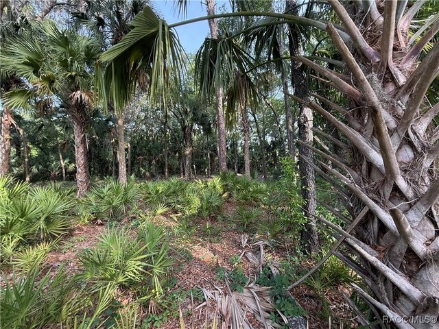 0 SE 144th Pl, Inglis, FL 34449