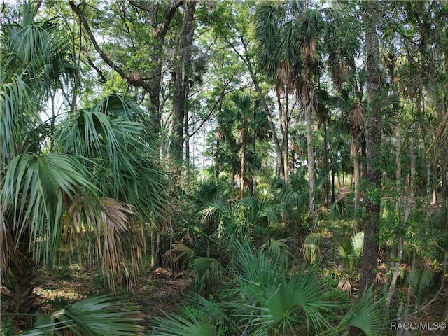0 SE 144th Pl, Inglis, FL 34449