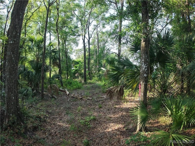 0 SE 144th Pl, Inglis, FL 34449