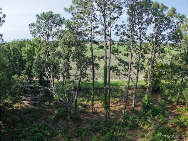 0 SE 144th Pl, Inglis, FL 34449