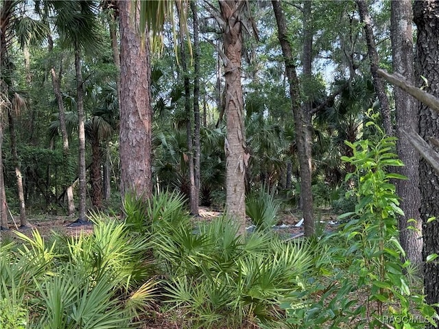 0 SE 144th Pl, Inglis, FL 34449