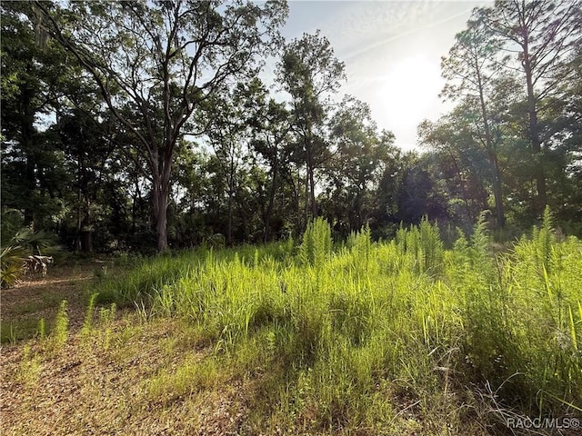 0 SE 144th Pl, Inglis, FL 34449