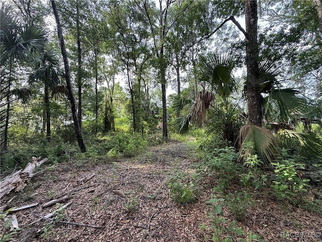 0 SE 144th Pl, Inglis, FL 34449
