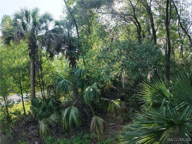 0 SE 144th Pl, Inglis, FL 34449