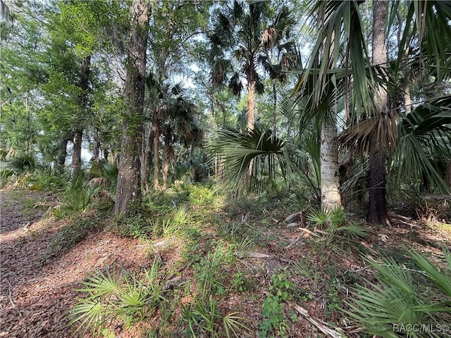 0 SE 144th Pl, Inglis, FL 34449