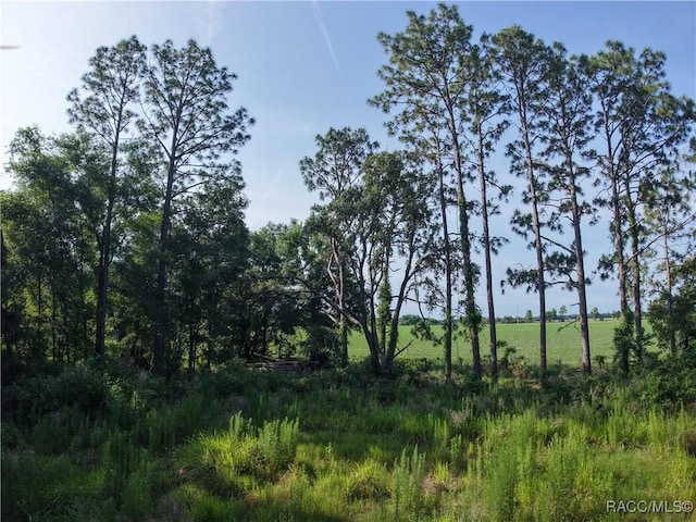 0 SE 144th Pl, Inglis, FL 34449