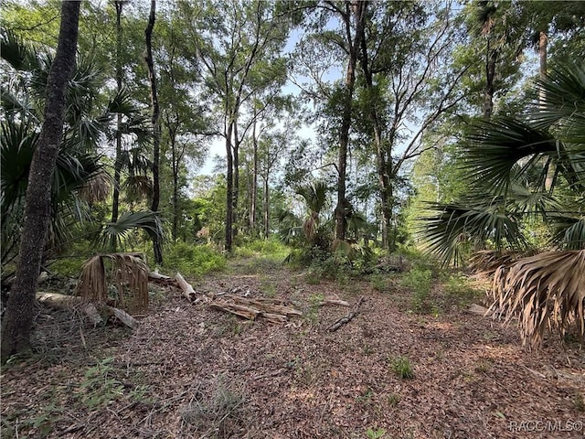 0 SE 144th Pl, Inglis, FL 34449