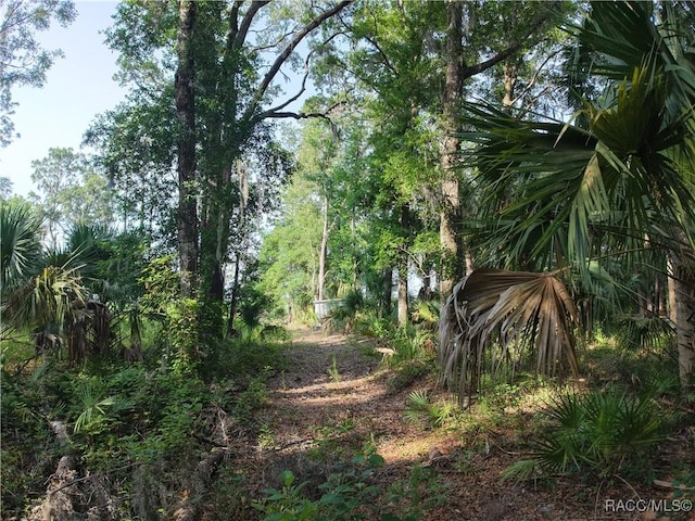 0 SE 144th Pl, Inglis, FL 34449
