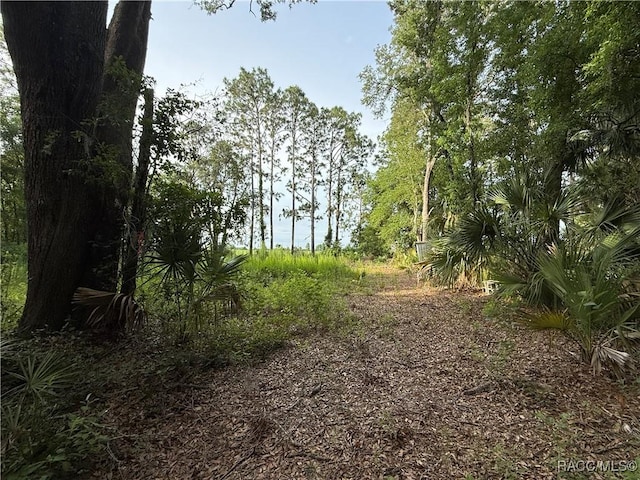 0 SE 144th Pl, Inglis, FL 34449