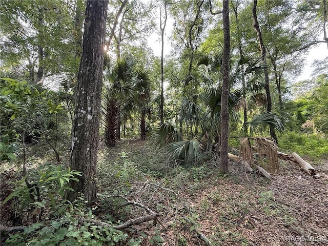 0 SE 144th Pl, Inglis, FL 34449